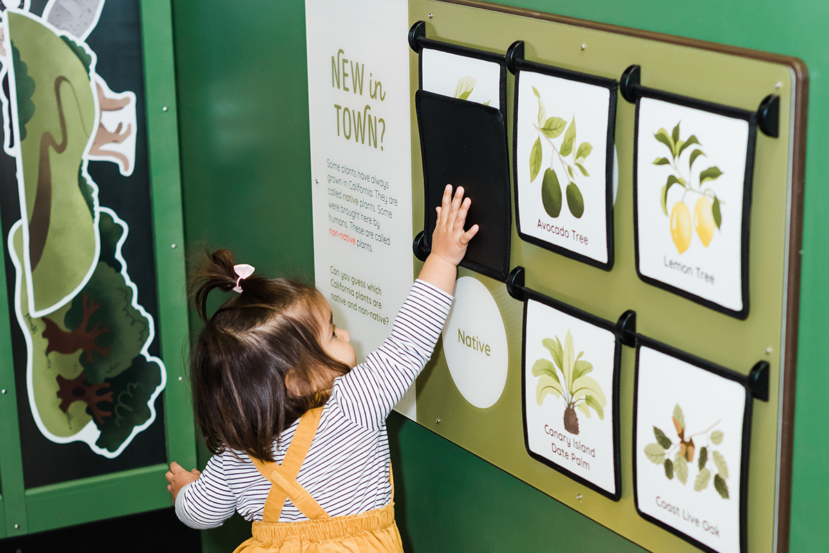 child flipping graphics